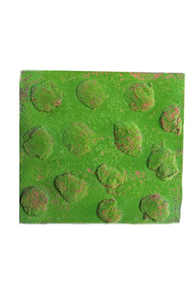SUPERGREENS Τεχνητή Φυλλωσιά Moss "Pebble" Πράσινη 100x100 εκ.