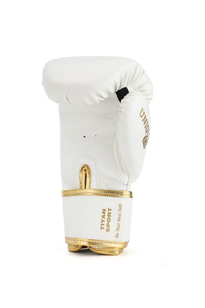 Titan Sport Professional Boxing Gloves White Gold, Kick Boxing, Muay Thai, Fitness and Sandbag Training Gloves (with Mouthguard Gift)