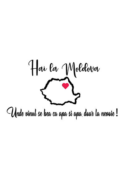 Amo-Stickers Sticker Auto Hai in Moldova 3 Gri inchis