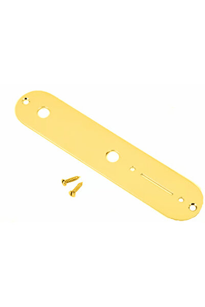 FENDER 0992058000 Vintage Telecaster Control Plate 2-Hole Chrome Guitar Repla...