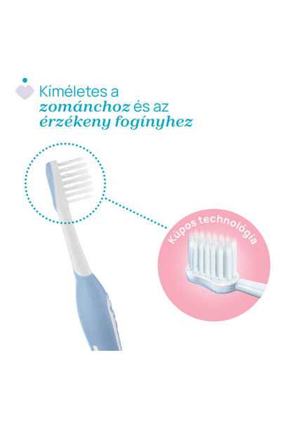 Chicco Periuță de dinți pentru bebeluși, albastră - 6-36 luni