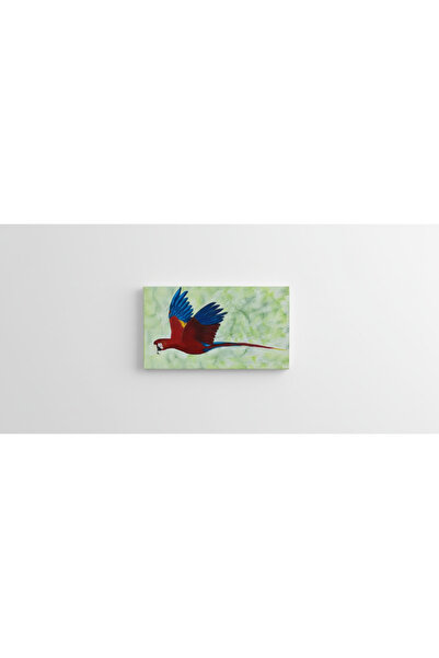 OEMS Macaw Bird Painting 2