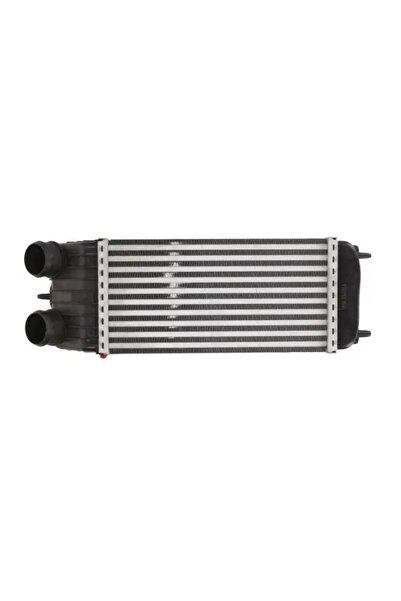 Thermotec Intercooler Turbo CITROËN C2/C3 1/C3 2/C3 PICASSO PEUGEOT 1007/207