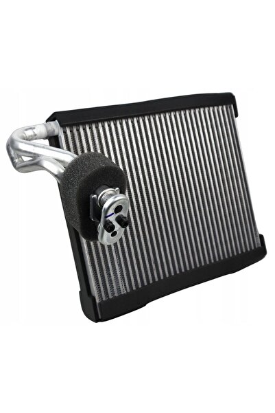 RapidAuto Evaporator Nissan Juke 10-; Renault Espace 15-, Kadjar 15-, Megane ...