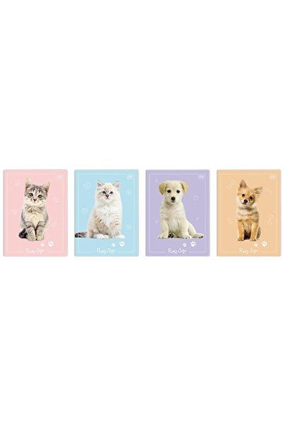 Interdruk Caiet de vocabular Puppy Sign, A6, 32 file, coperta laminata, Multi...