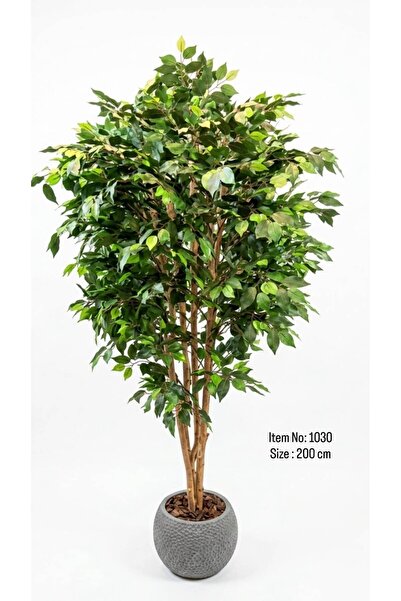 Plantora Artificial Lemon Leaves Tree