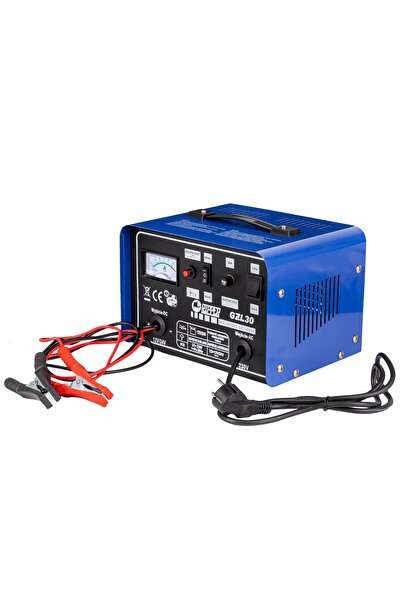 Ripper ÎNCĂRCĂTOR CU FUNCȚIE DE ÎNCĂRCARE RAPIDĂ 30-250 Ah 12V 24V