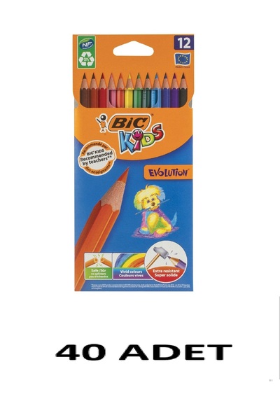Bic 40 Pieces of Evolution Dry Paint, 12-Pack