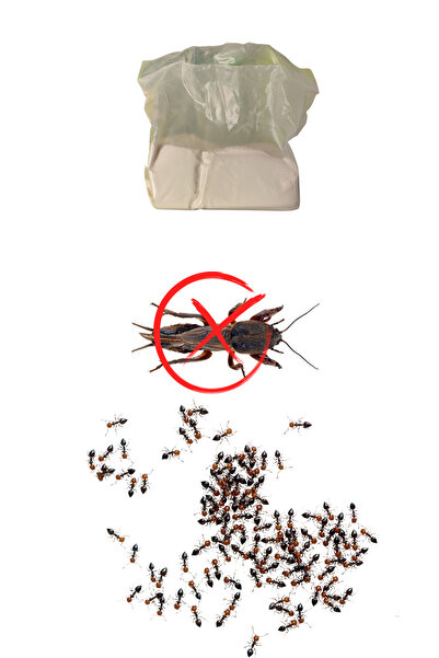 aktarist Danaburnu-Keseğen Karınca İlacı Etkili Toz/900GR
