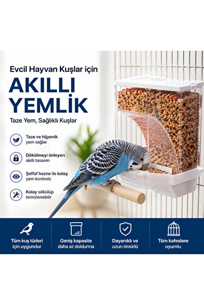 Quik Akıllı Kuş Yemliği Otomatik Şeffaf Hazneli Muhabbet Kuşu Kanarya ve Papa...