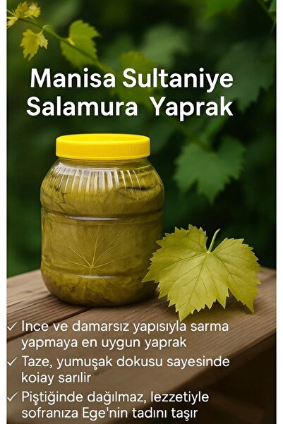 Egenin Yeşili Salamura Yaprak Manisa Sultaniye Üzüm yaprağı 5 kg bidon ince d...