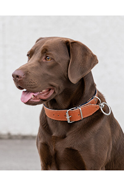 YILPAX Hakiki Deri Köpek Boyun Tasması Fırdöndü Halkalı Dokuma Astarlı Büyük Irk 75 cm Taba