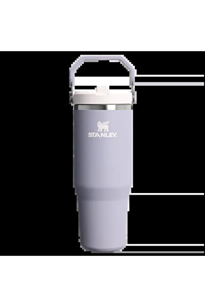 Stanley The IceFlow Flip Straw Tumbler Pipetli Termos Bardak 0,89 Lt Purple Dust