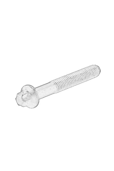 Scania Surubul Unitatii de Injectie SCA1542084