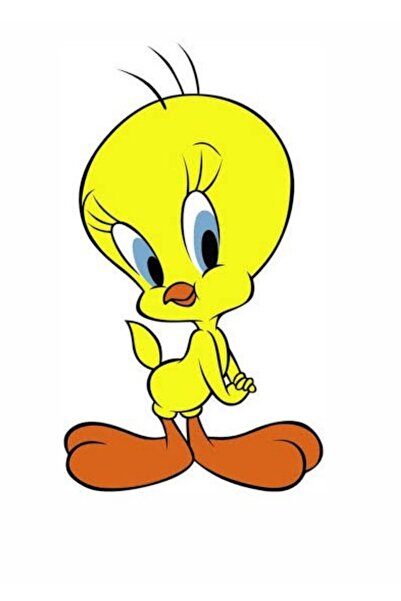 pasta baskı atölyesi Tweety temalı yenilebilir pasta üstü baskı-gofret 21x29