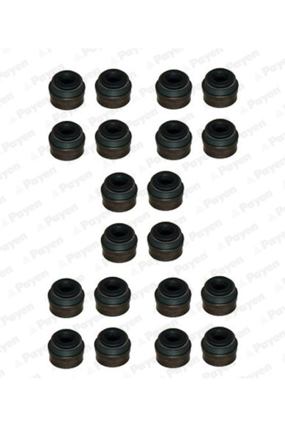 PAYEN Set Garnituri, Ax Supape Hr822 Audi A3/A4 B5/A4 B6/A4 B7/A6 C4/A6 C5/A6...