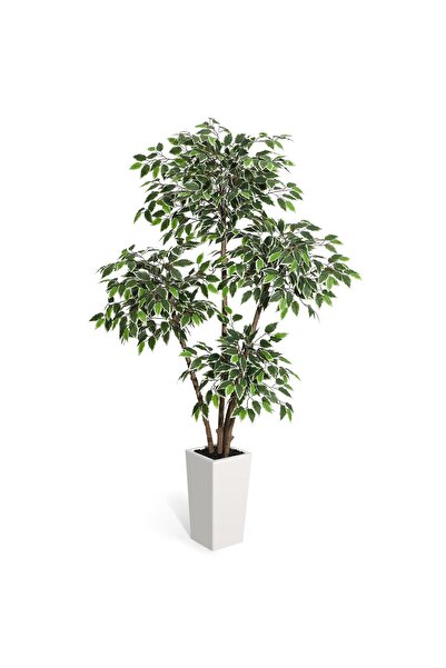 Garvee 1pc PE Artificial White-edged Ficus Tree in Tall Pot - Fashionable, Gr...