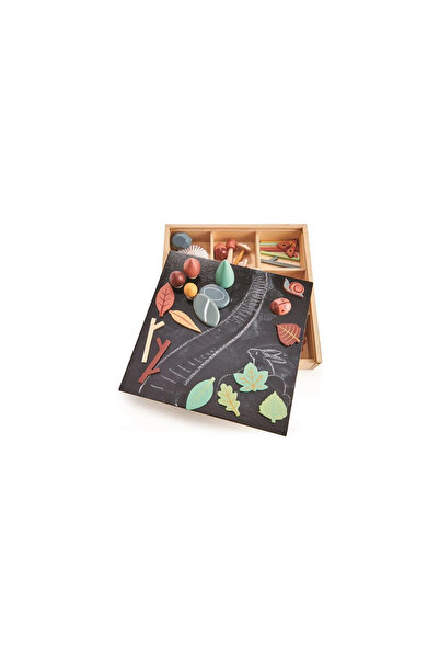 Tender Leaf Toys Cutie creativă din lemn - Comori ale pădurii