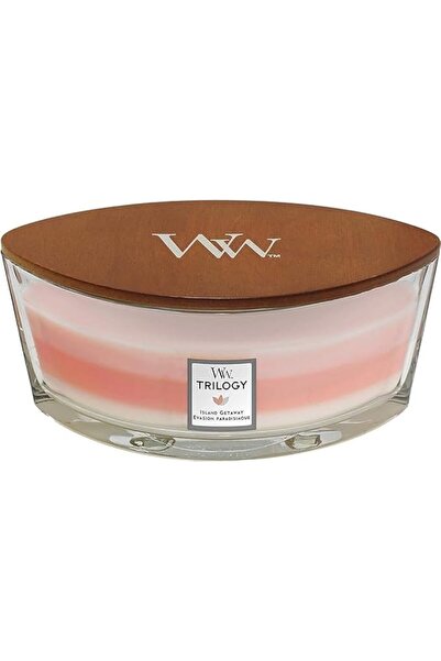 WoodWick Ellipse Scented Candle with Crackling Wick | Sun-Ripened Berries | U...