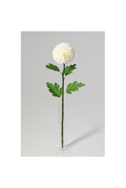 Generic New In Fernza White Ping Pong Chrysanthemum Single Stem White H54Cm