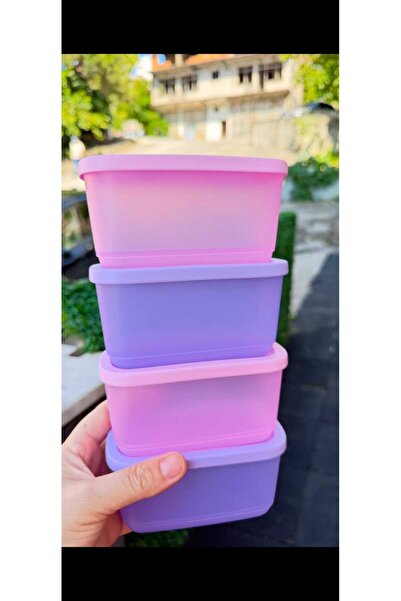 Tupperware Kübik 4'lü Mini Dikdörtgen 250 ml