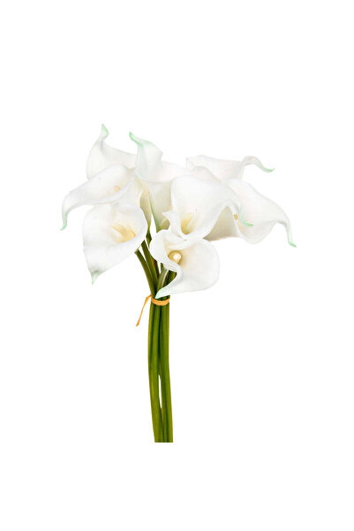 Atmosphera Buchet de 8 crini artificiali - Albi, H.36 cm
