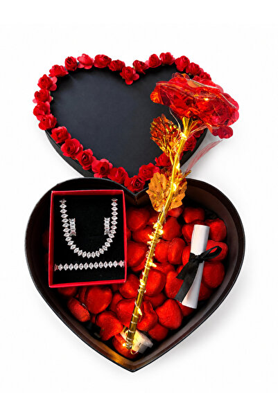 ASLYA Romantik Özel Hediye, Sevgiliye Hediye, Doğum Günü Hediyesi, Ledli Solm...