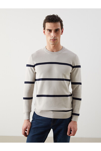 LC Waikiki Crew Neck Long Sleeve Men's Tricot Sweater