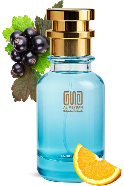 OUD AL MEYDAN Oil Based Perfume for Men – Long Lasting Silver Mountain Water ...