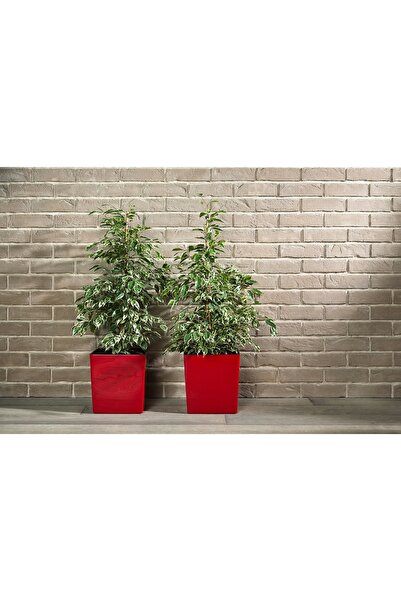 NO BRAND SET 3x Ghivece de grădină albe lucioase + Inserții 30x30cm