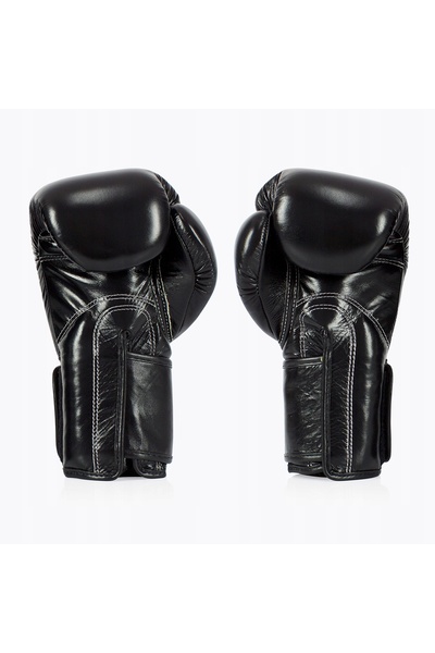 Fairtex Mănuși de box BGV5 10 oz