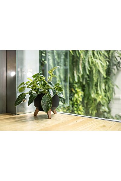 NO BRAND SET 3x JARDINIERE CU VAS INTERIOR PENTRU FLORI, BALCON, ALB ROMA 23,...
