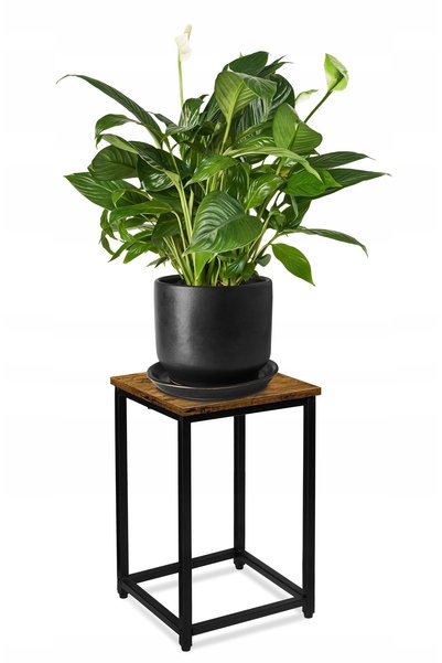 NO BRAND Suport pentru plante, Suport pentru flori, Suport pentru flori stil ...