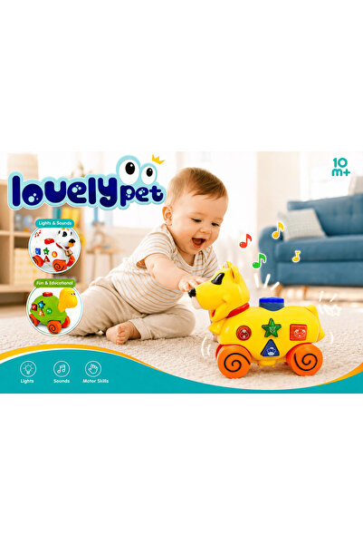 Baby Planet Baby Toy Musical Interactive Animal Lights & Sounds Pull String D...