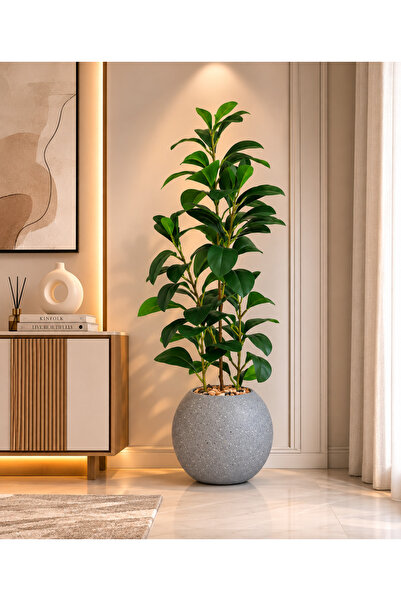 N.zone Elegant Green Leafed Lemon Plant Adds a Natural Fresh Touch to Your De...