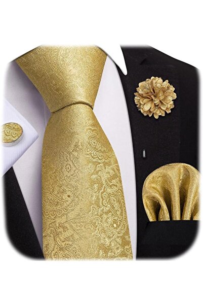 Dubulle Mens Paisely Silk Tie for Men Necktie and Pocket Square Set