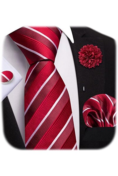 Dubulle Mens Paisely Silk Tie for Men Necktie and Pocket Square Set