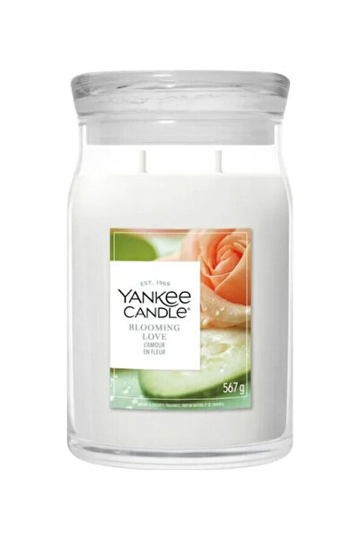Yankee Candle Αρωματικό κερί σε βάζο με άρωμα 567γρ