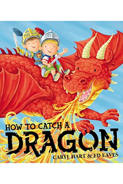 Simon & Schuster Ltd How To Catch a Dragon