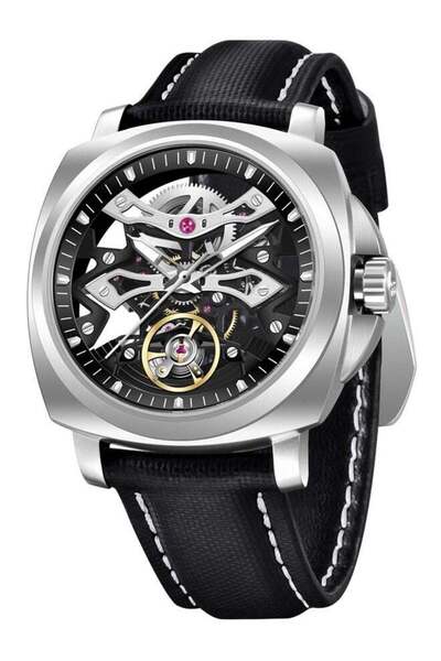 Pagani design Automatic Mechanical Men's Watches, Hollow Dial Design, Luminou...