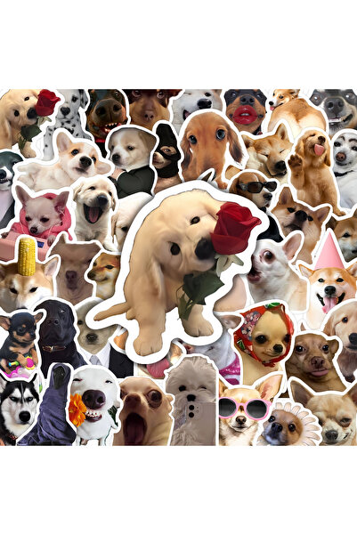 Choice MULTICOLOR 50Pcs Cute Dog Meme Stickers Vinyl Waterproof for Laptop Ph...