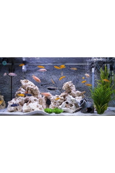 NO BRAND Lampă LED acvariu, mod Zi-Noapte, 20cm, cu temporizator