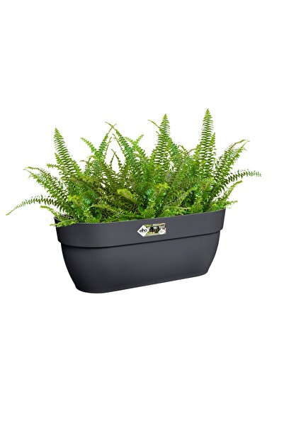NO BRAND Jardinieră de balustradă antracit VIBIA 46x24 ELHO, cutie grafit, pe...