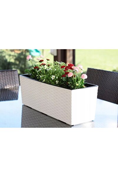 Prosperplast Ghiveci cu sistem de udare 60cm Longitudinal