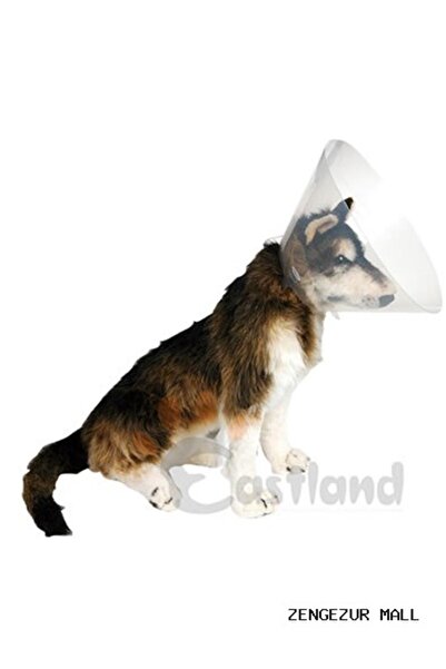 Eastland Zengezur Collar (Elizabet) (172548) 25 cm