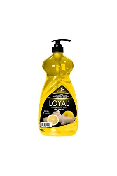 Generic Brand Loyal Dishwashing Liquid Ginger & Lemon with Natural Enzymes - ...