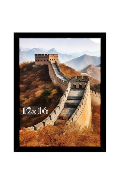 Generic Brand Picrit 12x16 Picture Frame, Photo Frame for Wall Mounting Diapl...