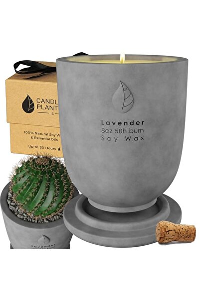 Generic Matani Concrete Cement Candle Planter - Aromatherapy Soy, Dual Purpos...