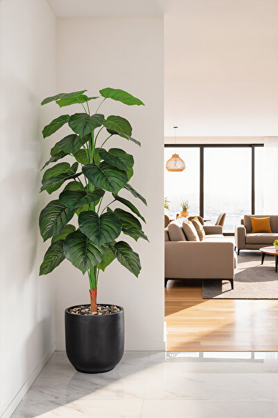 MARIA HOMES 161 cm Artificial Heart Leaf Plant in Fiber Pot for Home & Office...