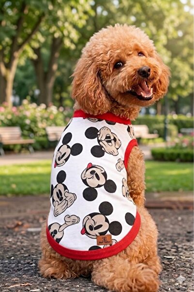 Peti Tailor Köpek Tişörtü Mickey Kırmızı Detaylı Kedi Kıyafeti